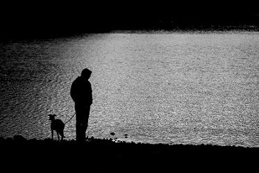 shadow of man and dog standing near dreary lake